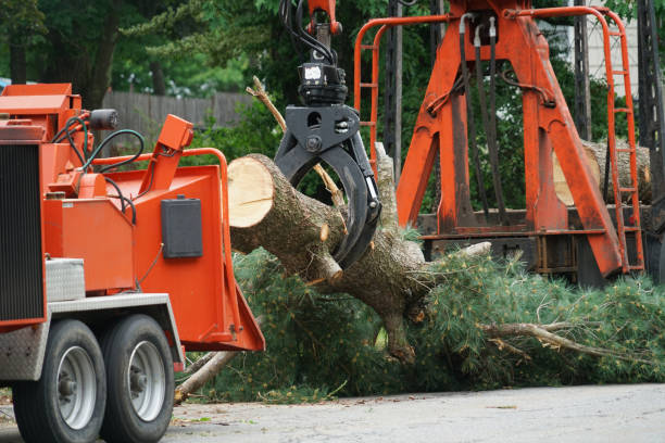 Best Lawn Irrigation Installation and Maintenance  in East Hampton North, NY